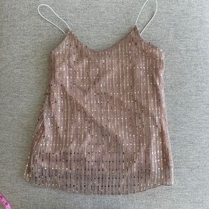 pink champaign sequin top